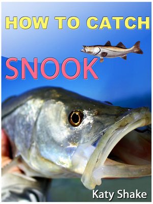 cover image of How To Catch Snook